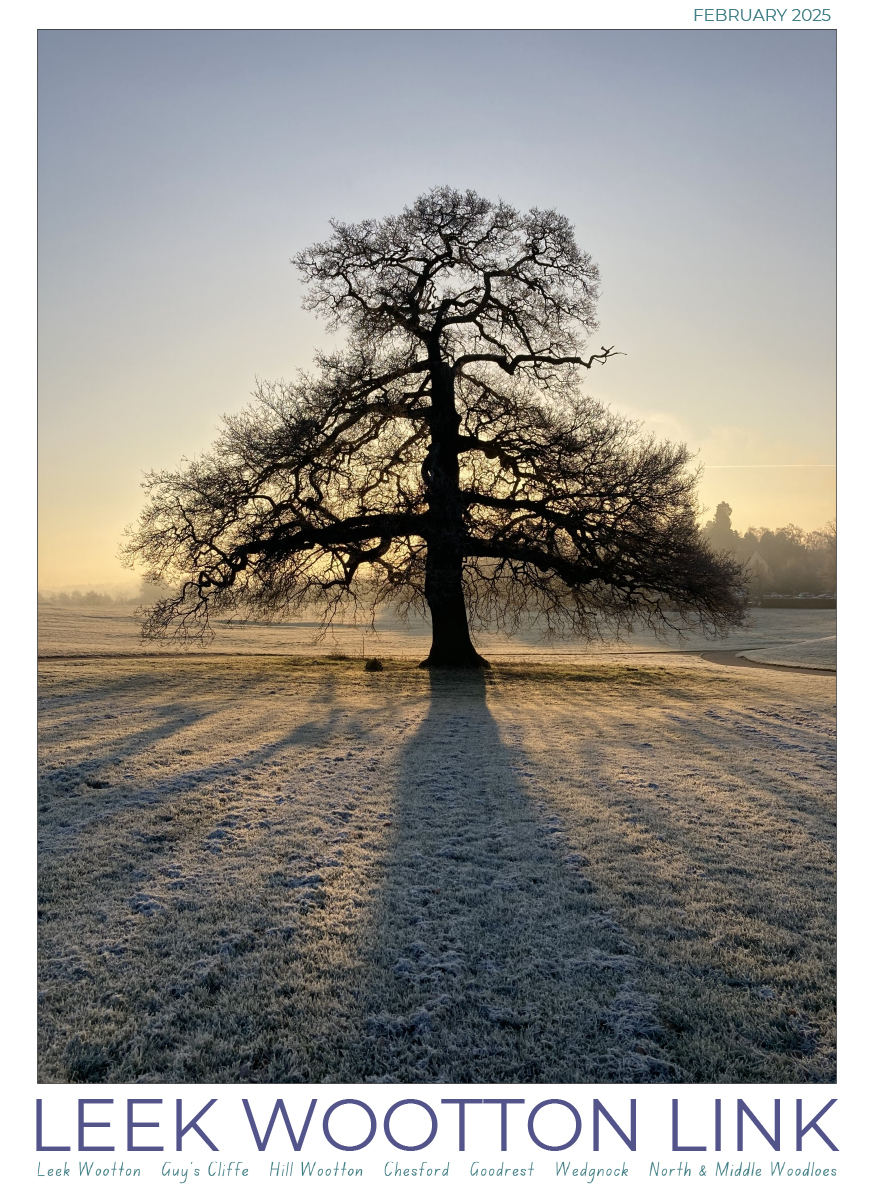 2025 02 (FEB) Link ISSUU-Copy-1