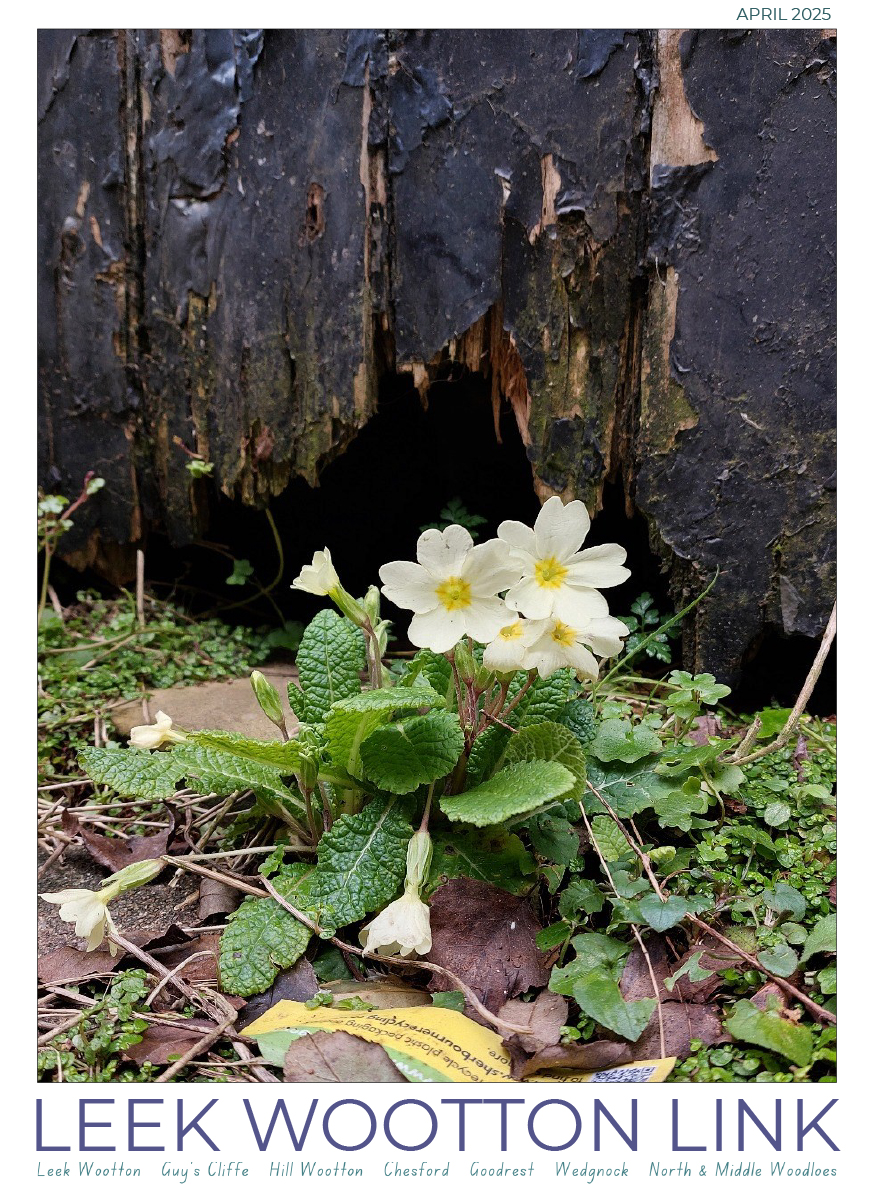 2025 04 (APR) Link ISSUU-1